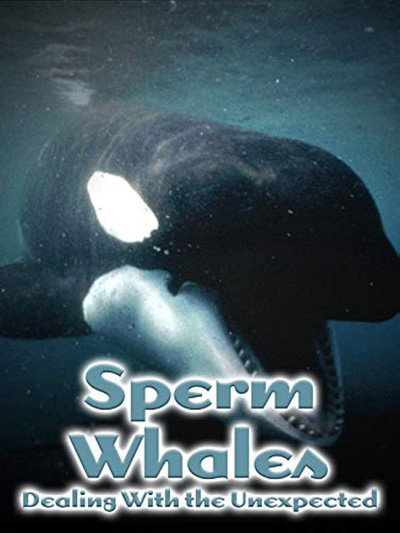 Póster de Sperm Whales, Dealing with the Unexpected