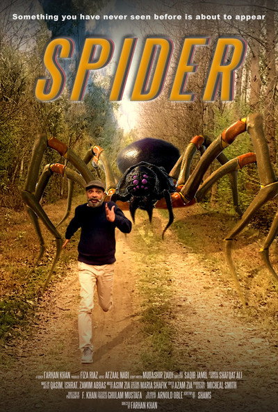 Póster de Spider