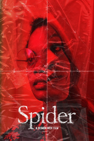 Póster de Spider