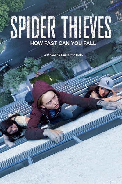 Póster de Spider Thieves