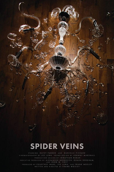 Póster de Spider Veins