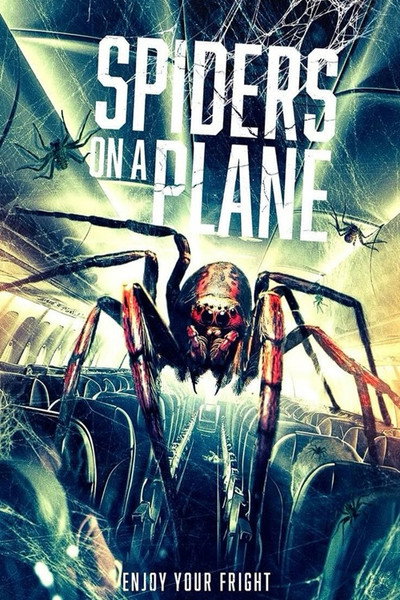 Póster de Spiders on a Plane