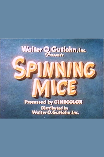 Póster de Spinning Mice