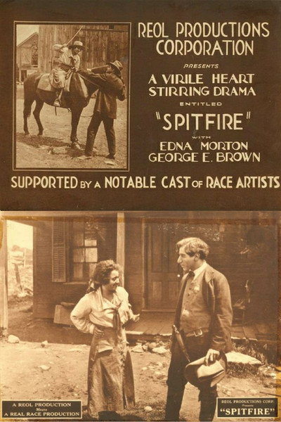 Póster de Spitfire