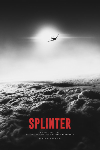 Póster de Splinter