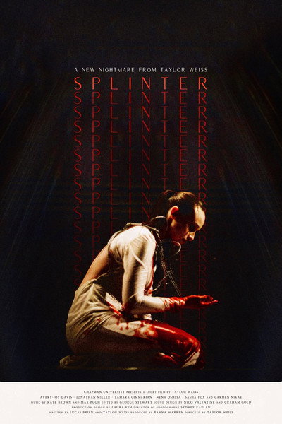 Póster de Splinter