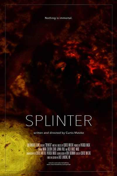 Póster de Splinter