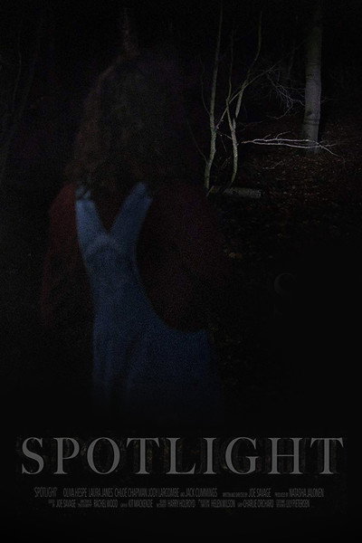 Póster de Spotlight