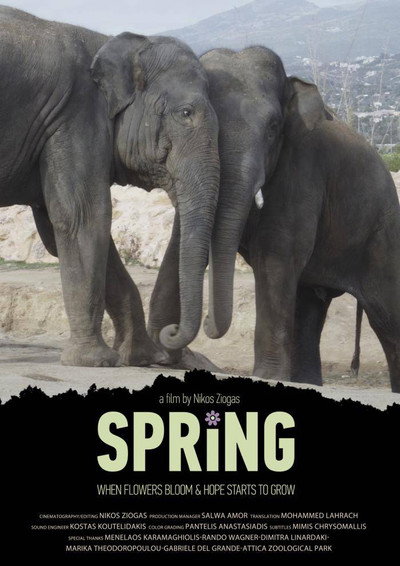 Póster de Spring