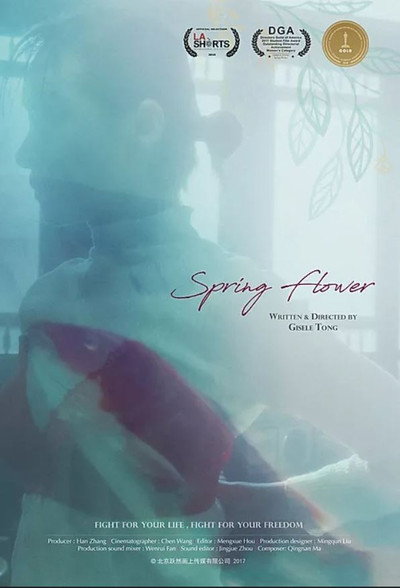 Póster de Spring Flower