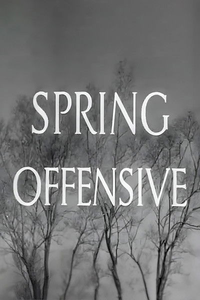Póster de Spring Offensive