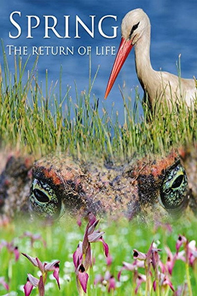 Póster de Spring: The Return of Life