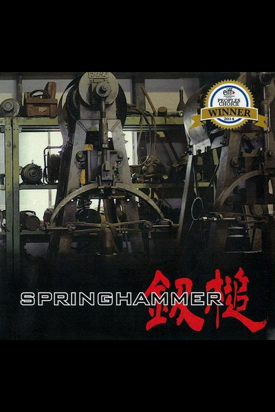 Póster de Springhammer