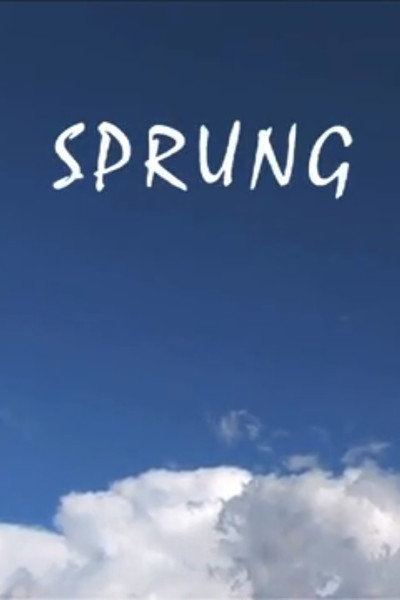 Póster de Sprung