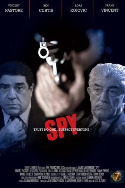 Póster de Spy