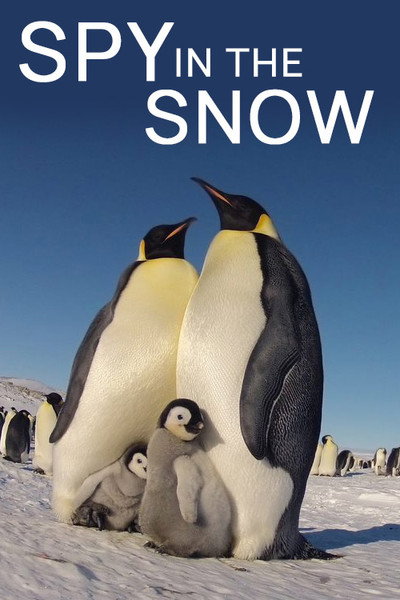 Póster de Spy in the Snow