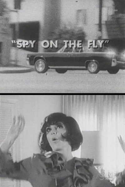 Póster de Spy on the Fly
