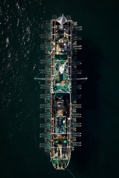 Póster de Squid Fleet