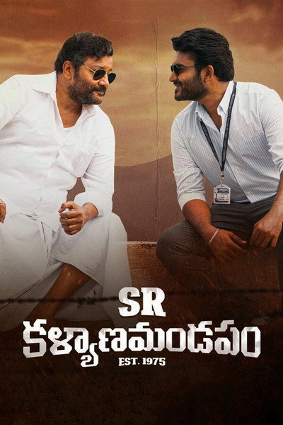 Póster de SR Kalyanamandapam