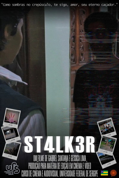Póster de ST4LK3R
