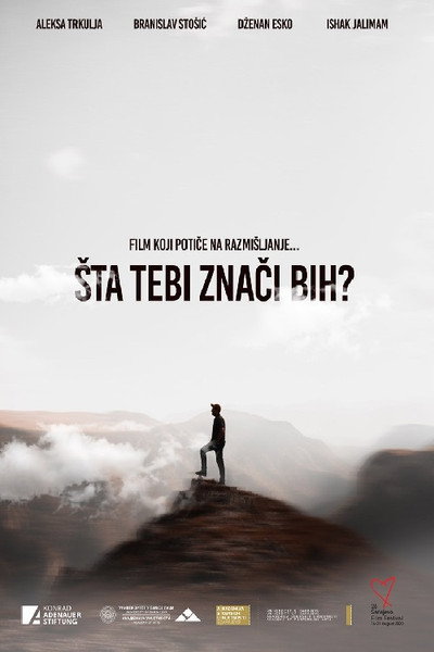 Póster de Sta Tebi Znaci BiH?