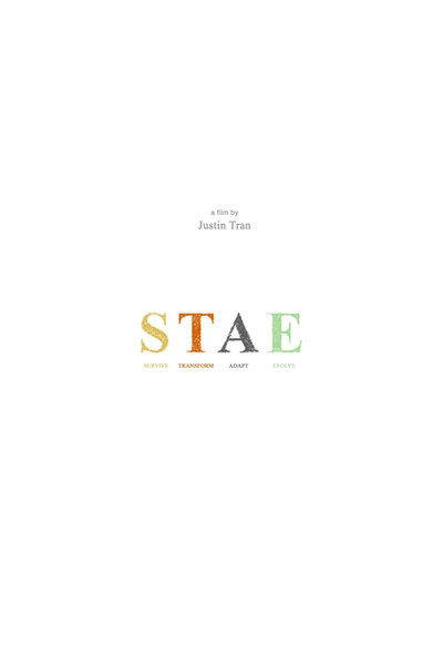 Póster de Stae