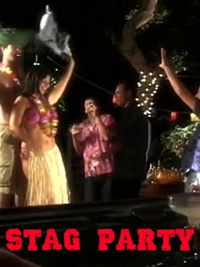 Póster de Stag Party