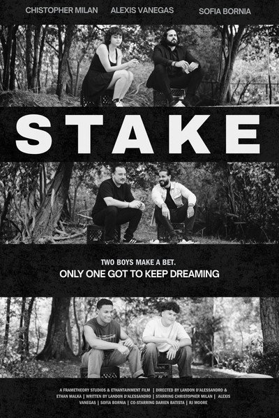 Póster de Stake