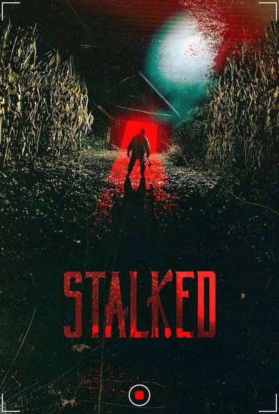 Póster de Stalked