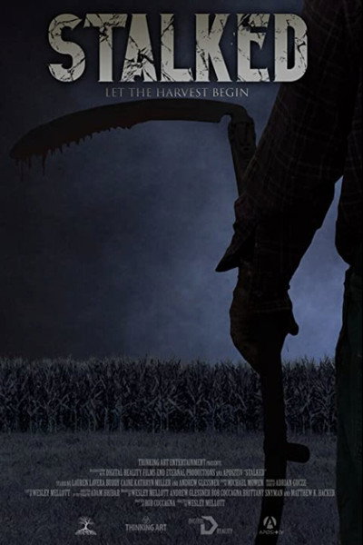Póster de Stalked