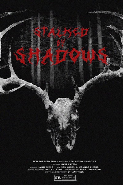 Póster de Stalked by Shadows