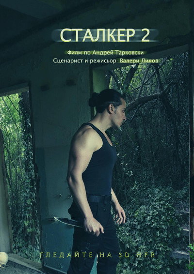 Póster de Stalker: The Curse of the Zone