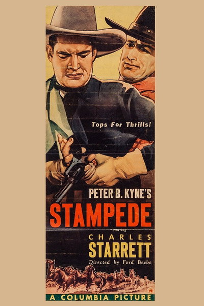 Póster de Stampede