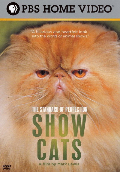 Póster de Standard of Perfection: Show Cats