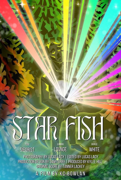 Póster de Star Fish