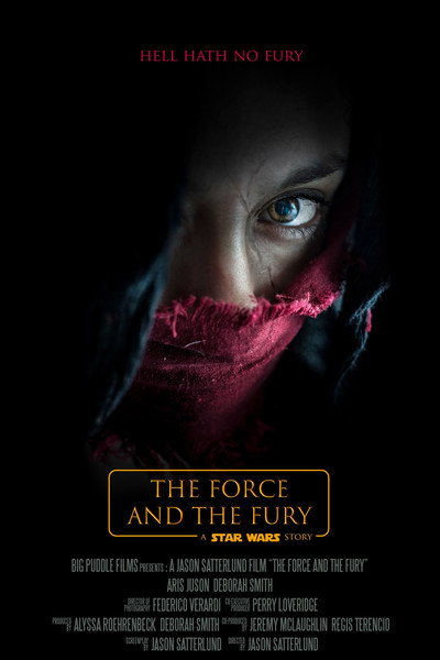 Póster de Star Wars: The Force and the Fury