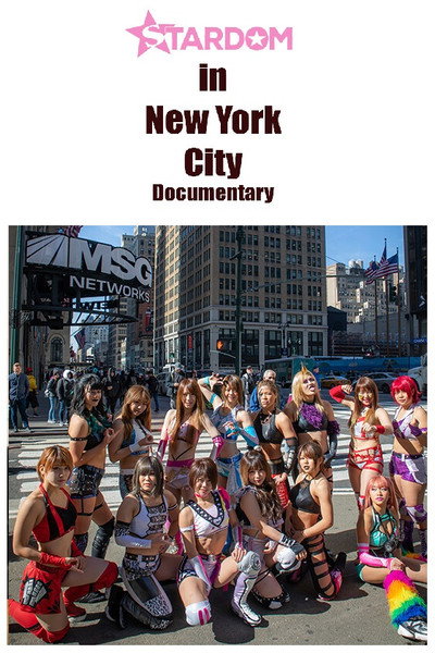 Póster de Stardom in NYC