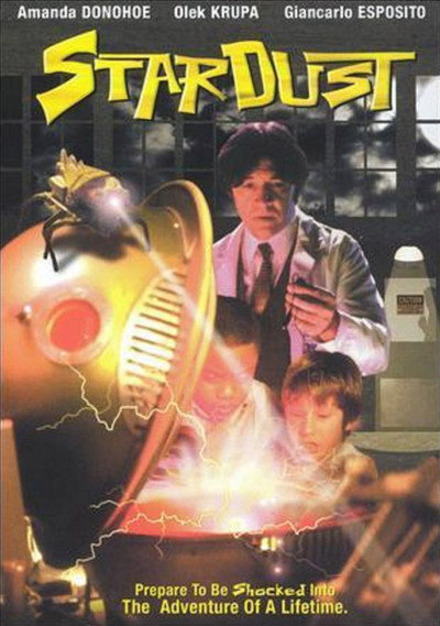 Póster de Stardust