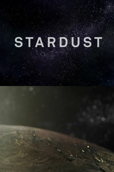 Póster de Stardust