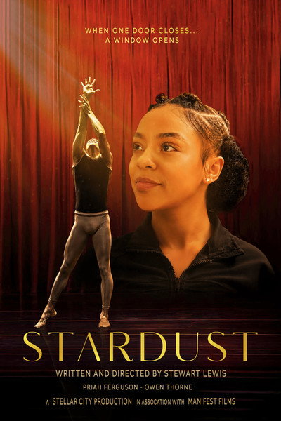Póster de Stardust