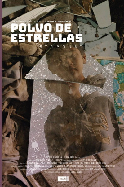 Póster de Stardust