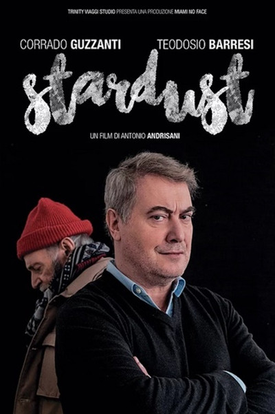 Póster de Stardust