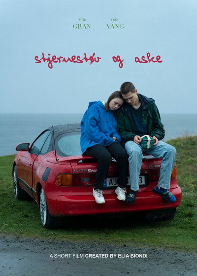 Póster de Stardust and Ashes