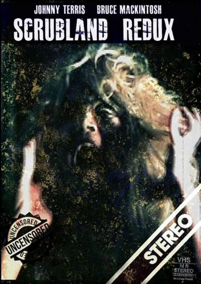 Póster de Stardust Redux