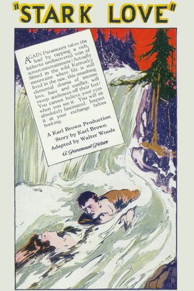Póster de Stark Love