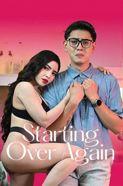 Póster de Starting Over Again
