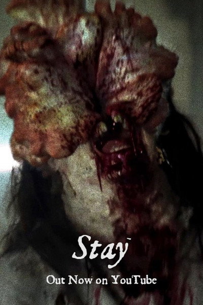 Póster de Stay - inspired by the Last of Us