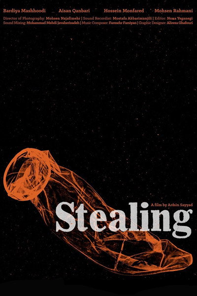 Póster de Stealing