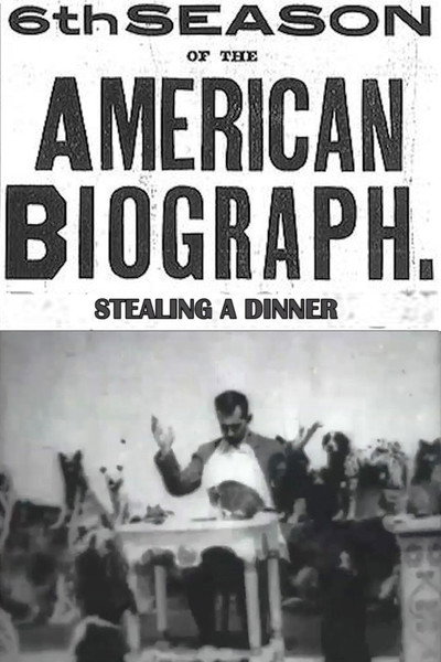 Póster de Stealing a Dinner