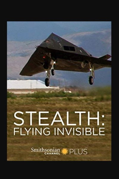 Póster de Stealth: Flying Invisible